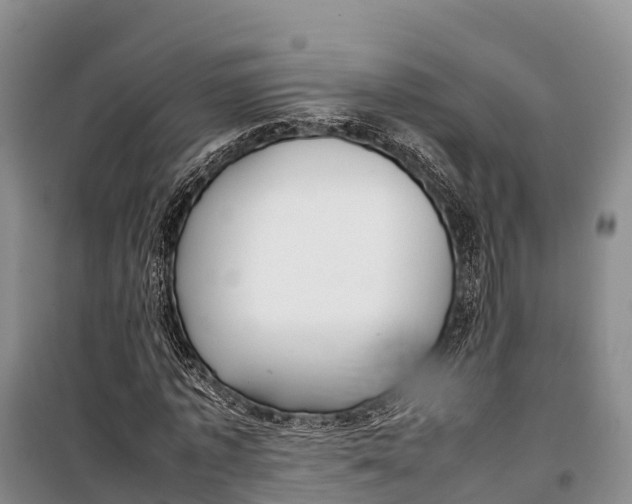 X0000099230773200805151629