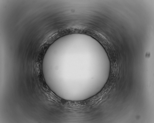 X0000099230774200805151629