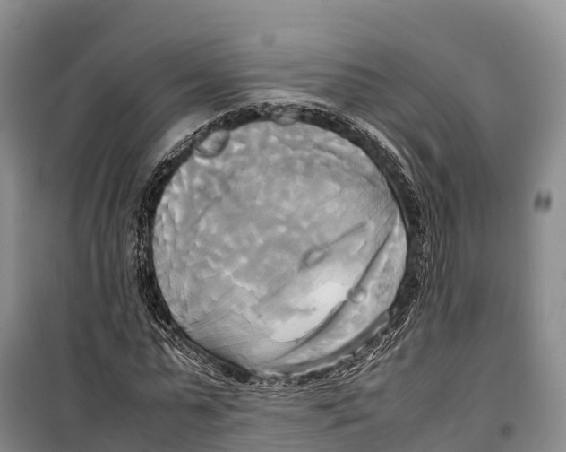 X0000099230775200805151629