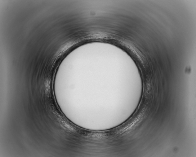 X0000099230778200805151629