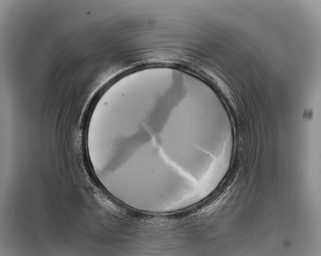 X0000099230779200805151629