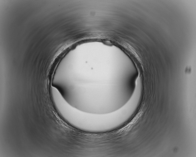 X0000099230781200805151629