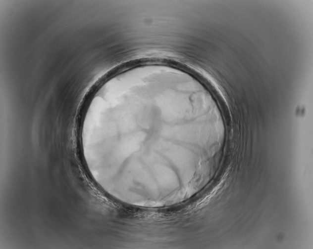 X0000099230783200805151629