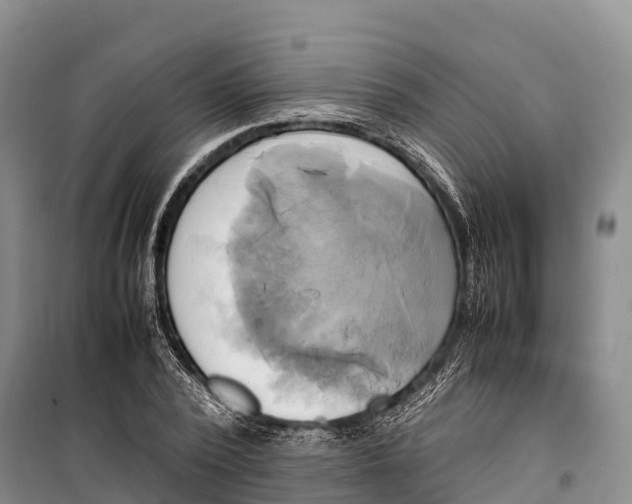 X0000099230784200805151629