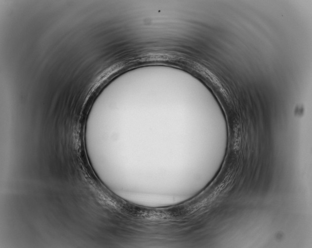 X0000099230786200805151629