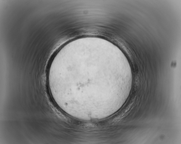 X0000099230787200805151629