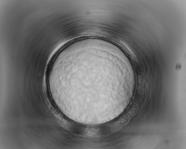 X0000099230788200805151629