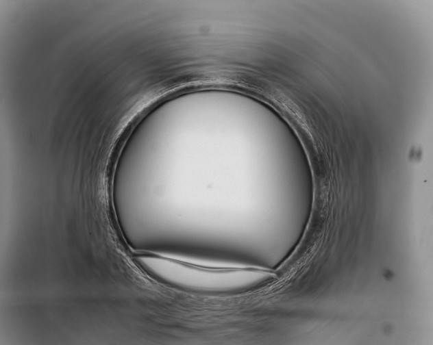 X0000099230789200805151629