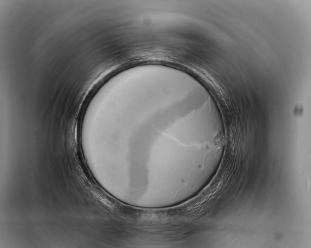 X0000099230790200805151629