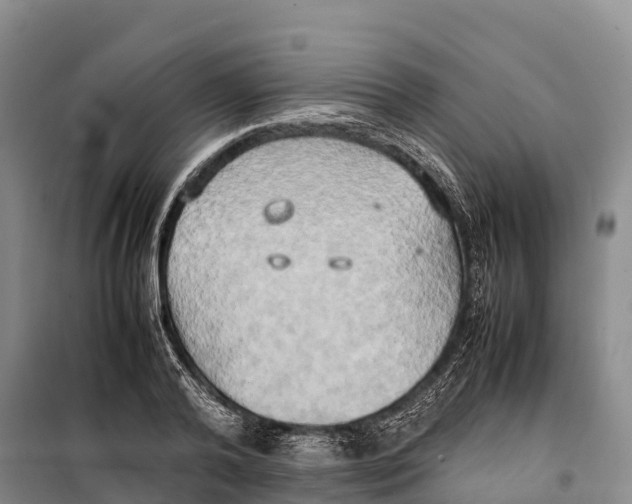 X0000099230792200805151629