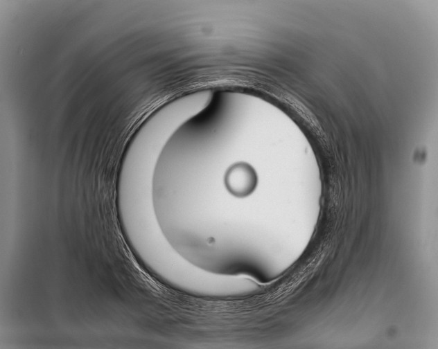 X0000099230793200805151629