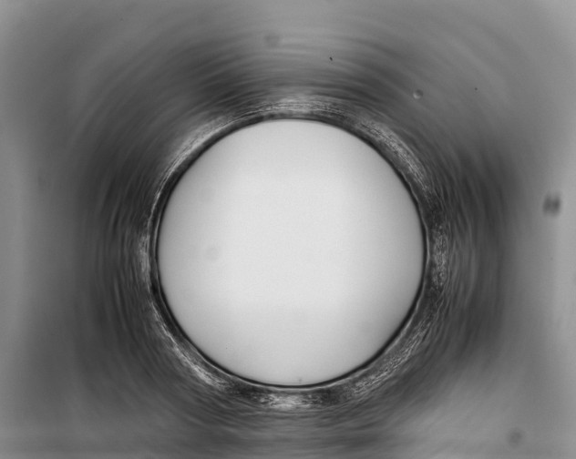 X0000099230794200805151629