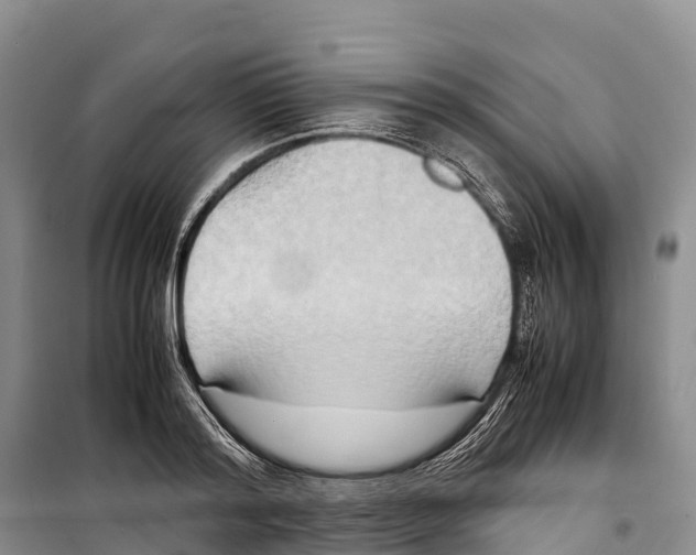 X0000099230796200805151628