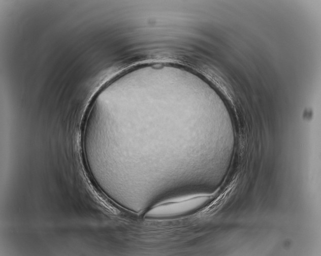 X0000099230797200805151628