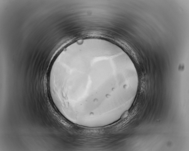 X0000099230798200805151628