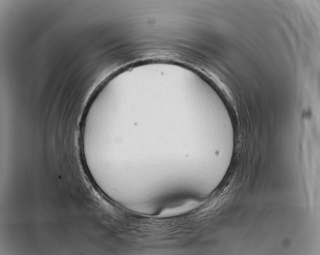 X0000099230799200805151628