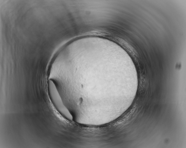 X0000099230800200805151628