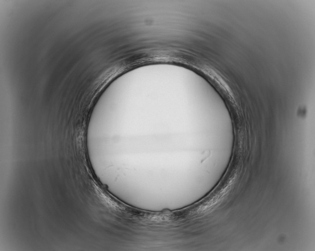 X0000099230801200805151628