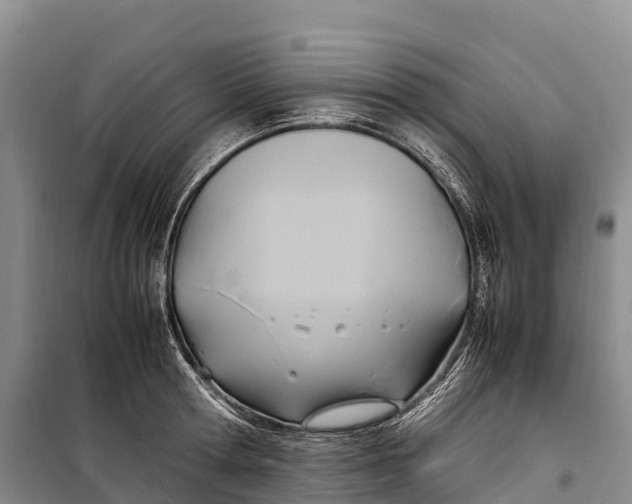 X0000099230802200805151628