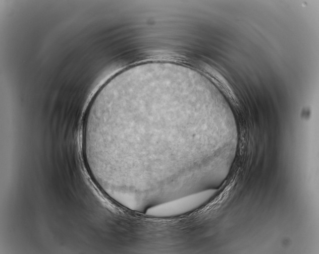 X0000099230804200805151628