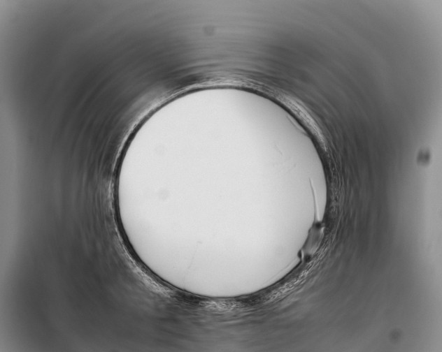 X0000099230805200805151628