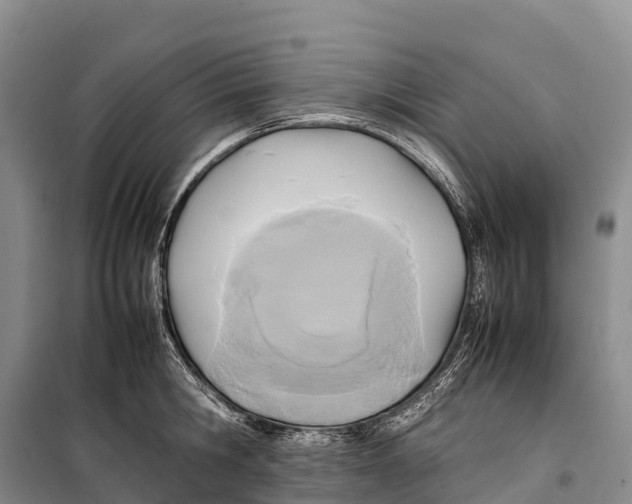 X0000099230806200805151628