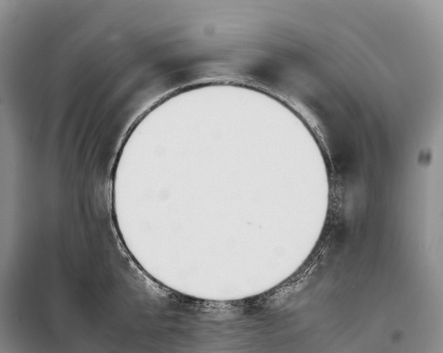 X0000099230807200805151628