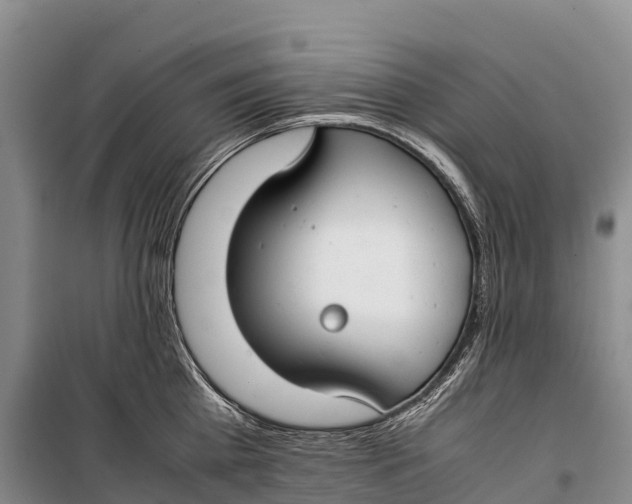 X0000099230809200805151628