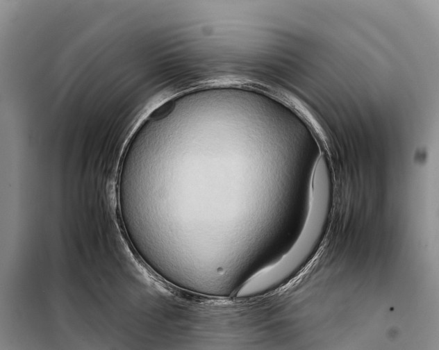 X0000099230810200805151628