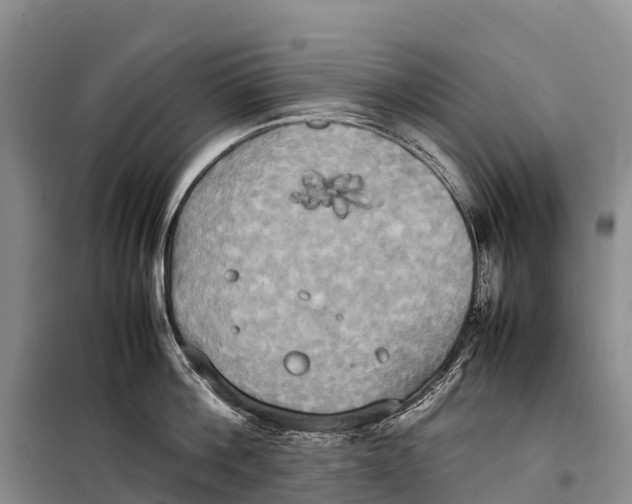 X0000099230812200805151628