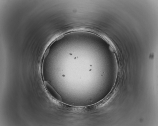 X0000099230813200805151628