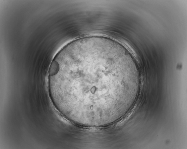 X0000099230814200805151628