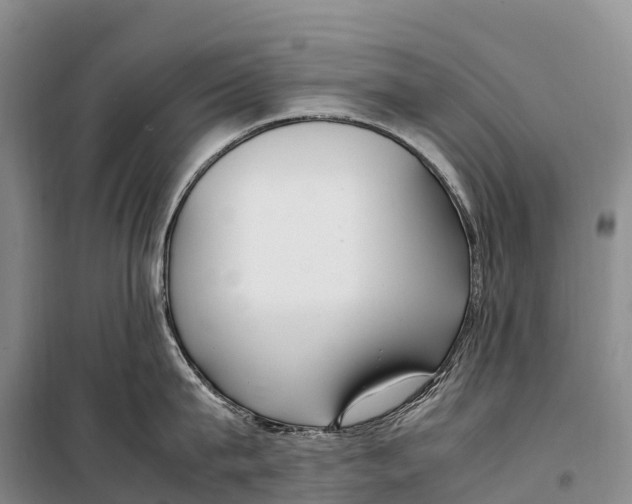 X0000099230815200805151628