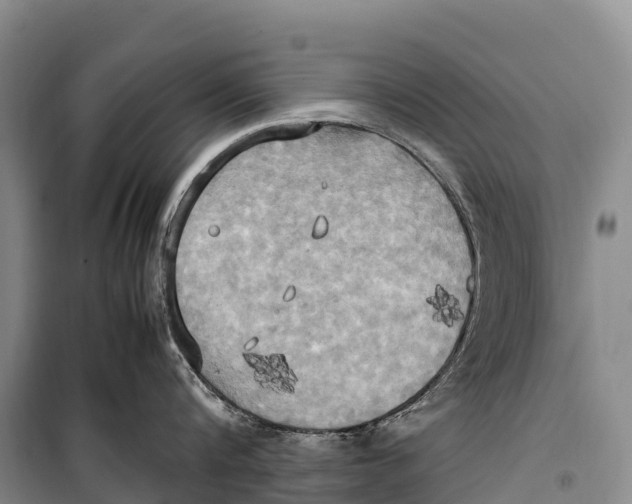 X0000099230816200805151628