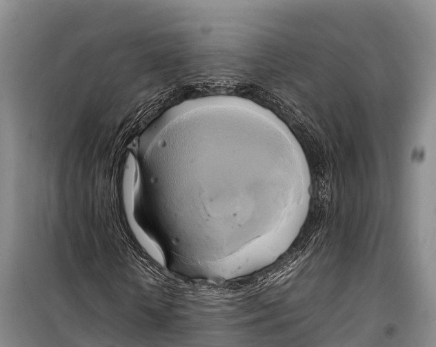 X0000099230818200805151627