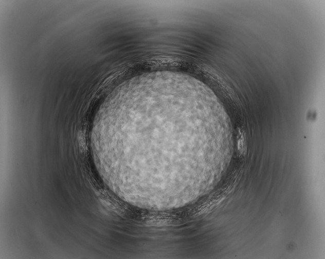 X0000099230819200805151627