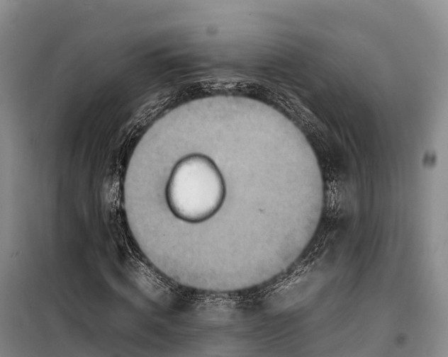 X0000099230820200805151627