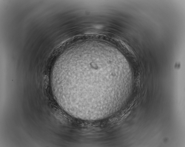 X0000099230821200805151627