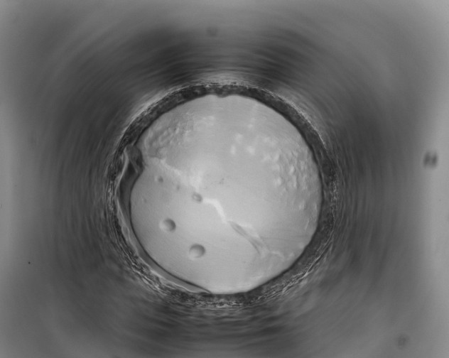 X0000099230823200805151627