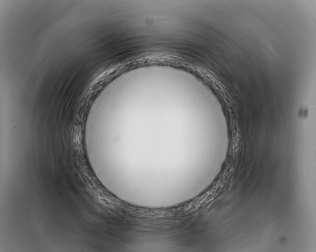 X0000099230824200805151627