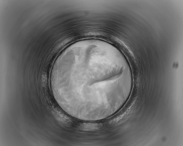 X0000099230825200805151627