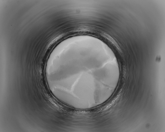 X0000099230826200805151628