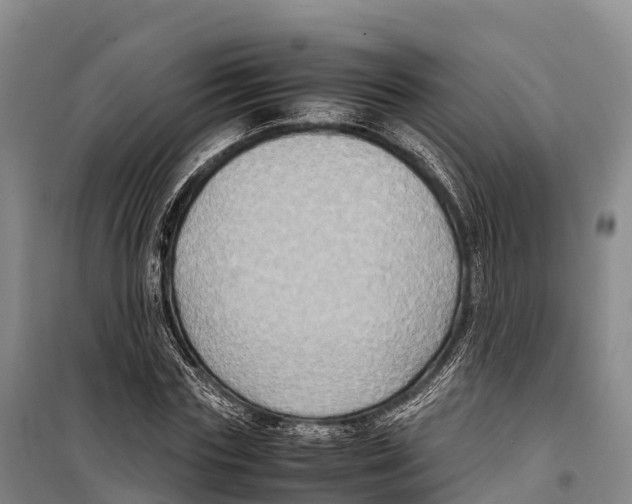 X0000099230827200805151628