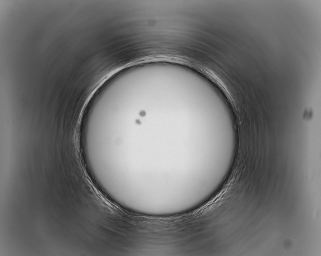 X0000099230828200805151628