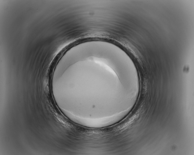 X0000099230830200805151628