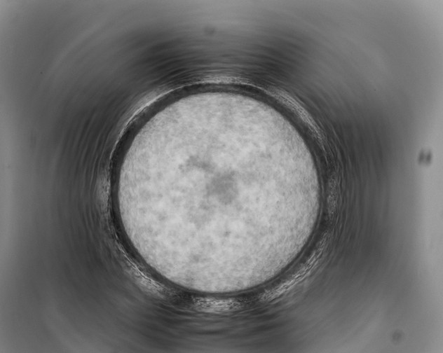 X0000099230831200805151628