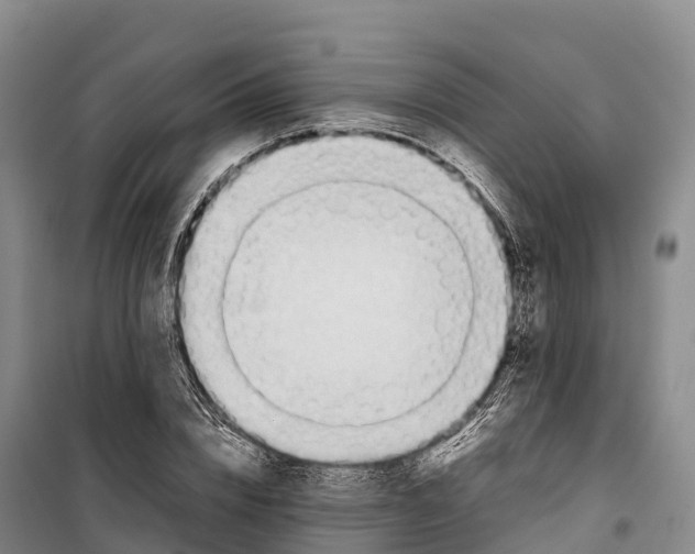 X0000099230832200805151628