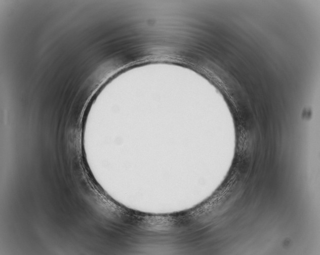 X0000099230836200805151628