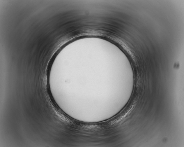 X0000099230837200805151628