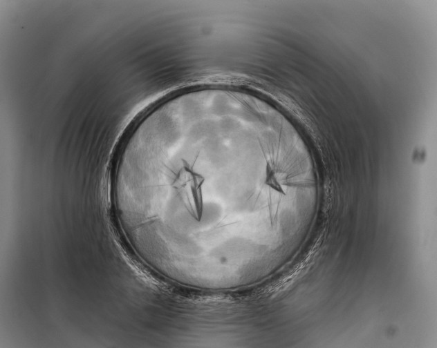 X0000099230838200805151628